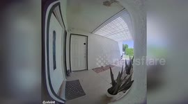 US: Doorbell Camera Captures Knife Attack On Officer In Cathedral City