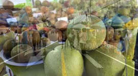 China: Main event of 2025 Chinese Farmers' Harvest Festival held in Shandong