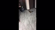 temp