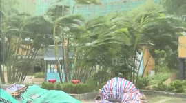 China: Strong wind, torrential rain hit Guangdong as Typhoon Ragasa approaches