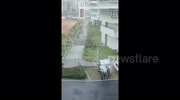 temp