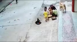 This video, captured from CCTV footage, showcases a remarkable act of bravery by a pet dog. The scene appears to show a family in distress, with individuals seemingly in a chaotic or threatening situation. Without hesitation, the dog quickly intervenes, b
