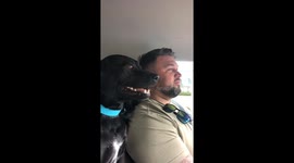 Saki The Talking Dog