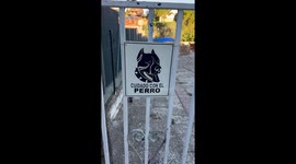 Beware Of Strange Dog