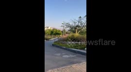 Israel: A Houthi drone hit Israel's Eilat