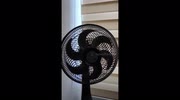 temp