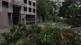 Hong Kong: Super Typhoon Ragasa injures 82, fells 700 trees in Hong Kong