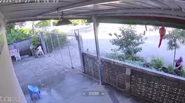 Boy calls on young neighbour for help getting through gate