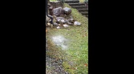 Steady rainfall brings relief in New York, USA