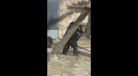 A Friend Has Such Sync with You