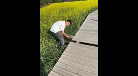 Good Intentions Lead to Bad Results