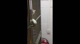 Escape and Enhance Freedom