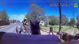 US: Suspect Takes Off After Officer Claims Horse Can Sniff Drugs