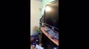 temp