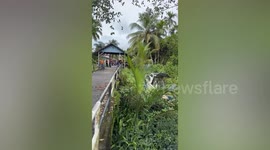 Boy, 12, killed by crocodile while setting fishing net in Malaysia