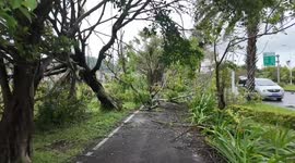 China: Guangdong speeds up post-disaster recovery as Typhoon Ragasa weakens