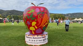 Six new giant vegetable world records are broken at Malvern Autumn Show
