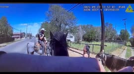 Lubbock Police Share Humorous Video of ‘Narcotics Sniffing Horse’