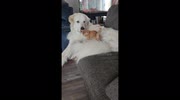temp