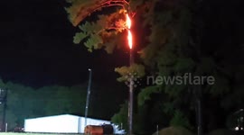 US: Tree is on fire after being nuked by lightning