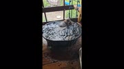 temp
