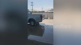 Monitor lizard caught getting inside the back of a car