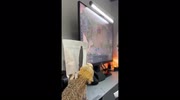 temp