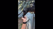 temp