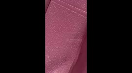 Cricket discovered behind room wallpaper in Manila, Philippines