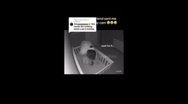 Crib collapse caught on baby cam—TikTok mum goes viral with 15 million views
