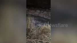 Torrential rain causes widespread flooding in Spain (2)