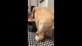 The Leap of Faith... Failed!