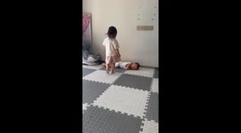 The Little Brother “Steed” is On Duty!