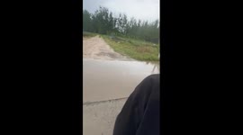 A Bite of Chicken? Or a Mouthful of Mud?