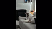 temp