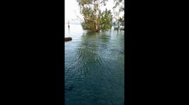 Simple happiness through a chilling nature, and that is what we called Vitamin Sea.