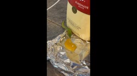 We were working at a cafe in Hawaii and saw this lizard drinking the syrup