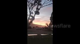 Looking past two trees you see a muntin range with the sun setting over it.