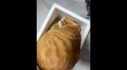 temp