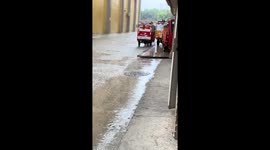 Cockroaches ride water pulses to escape manhole in Guangxi, China