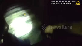 Sandy Springs Police Mistake Deer for Car Theft Suspects