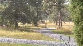 Sunshine and hailstones create unusual weather in Evergreen, Colorado, USA