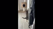 temp
