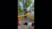 temp