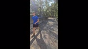 temp