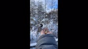 temp