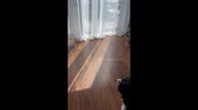 temp