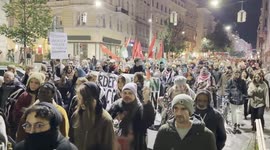 Austria: Protesters in Vienna condemn Israeli attack on Gaza-bound flotilla