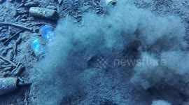 Scuba diving in Cultus lake British Columbia pick up trash left behind by careless visitors of the lake