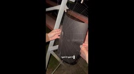 Preserved spiderweb art stuns viewers - girl’s nature tribute earns 1.9 million views
